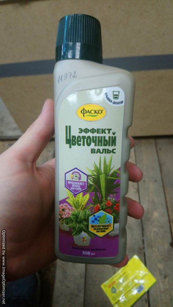 DSC_0970-Optimized.thumb.JPG.d4f7fd15c97f90d4e735336d78dce0df.JPG