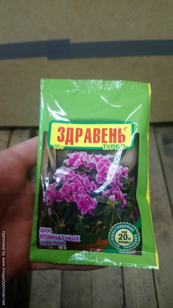 DSC_0971-Optimized.thumb.JPG.9649aecf2284ce9bcc92f7eb6095be7e.JPG