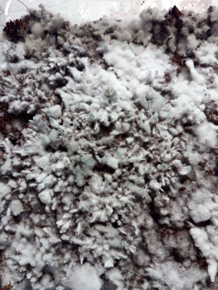 IMG_20190317_201019.jpg