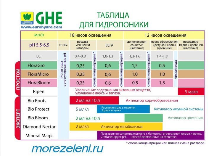 IMG_3431.PNG