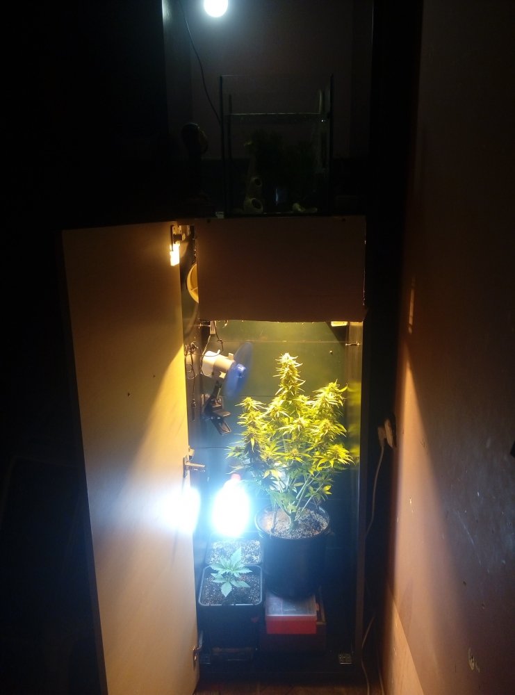 P90302-142840.jpg
