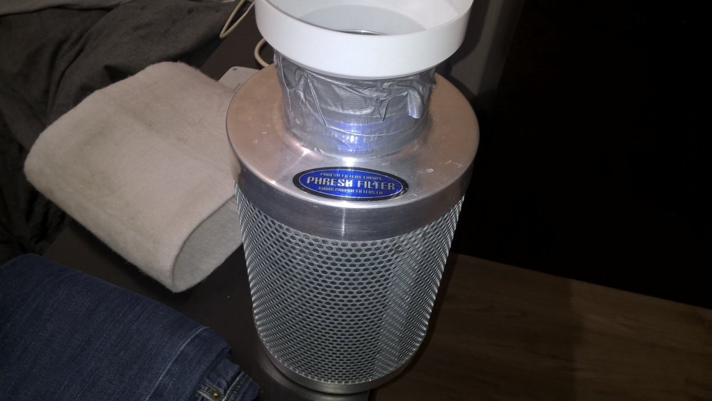 WP_20190305_21_19_58_Pro.jpg