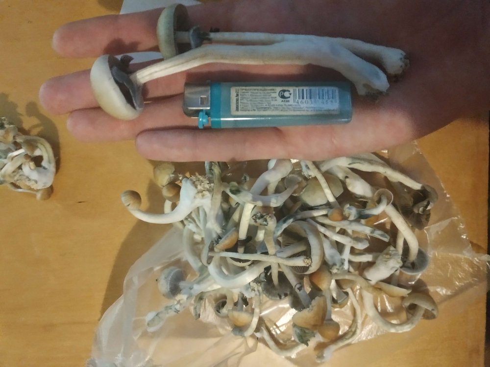 imgonline-com-ua-dexifTqSHOHxEH9Jd.thumb.jpg.41bd0ea4446295f66c7407500bd99d2f.jpg
