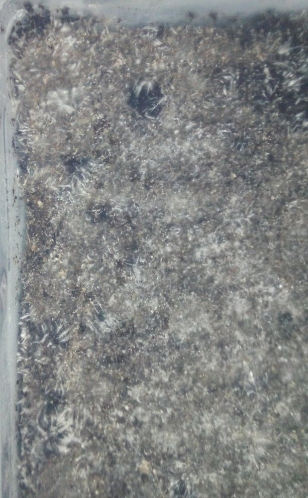 07042019_05.jpg