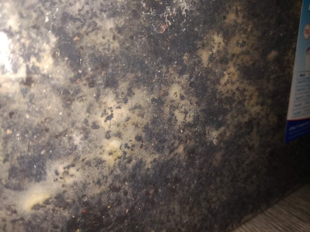 0_IMG_20190429_113957.thumb.jpg.f7e09377b67242ee4032130195e5a144.jpg