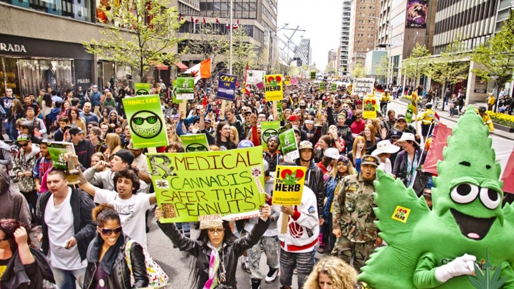 cannabis-march (1).jpg