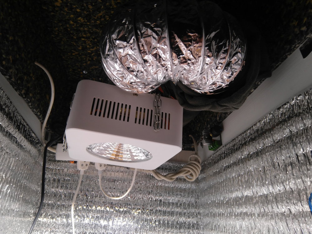 1750798681_2019-04-3022-58-46.thumb.JPG.d212323cf357976913b1e63d24d450de.JPG