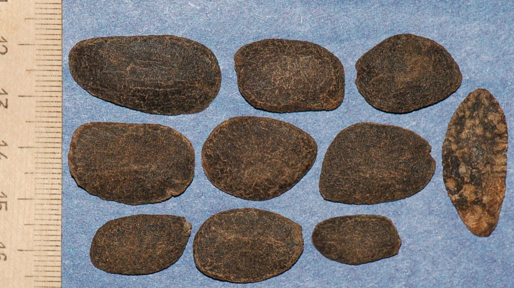 2.thumb.JPG.31e1c110f0b5db06002de0a8aacb27dc.JPG