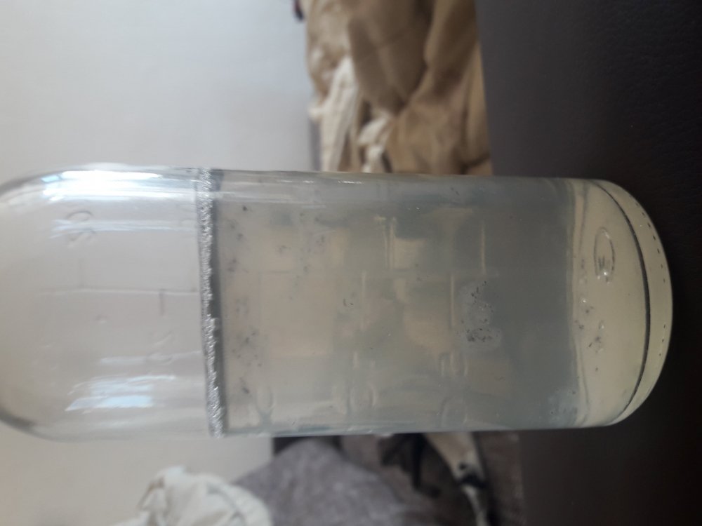 20190412_083836.jpg