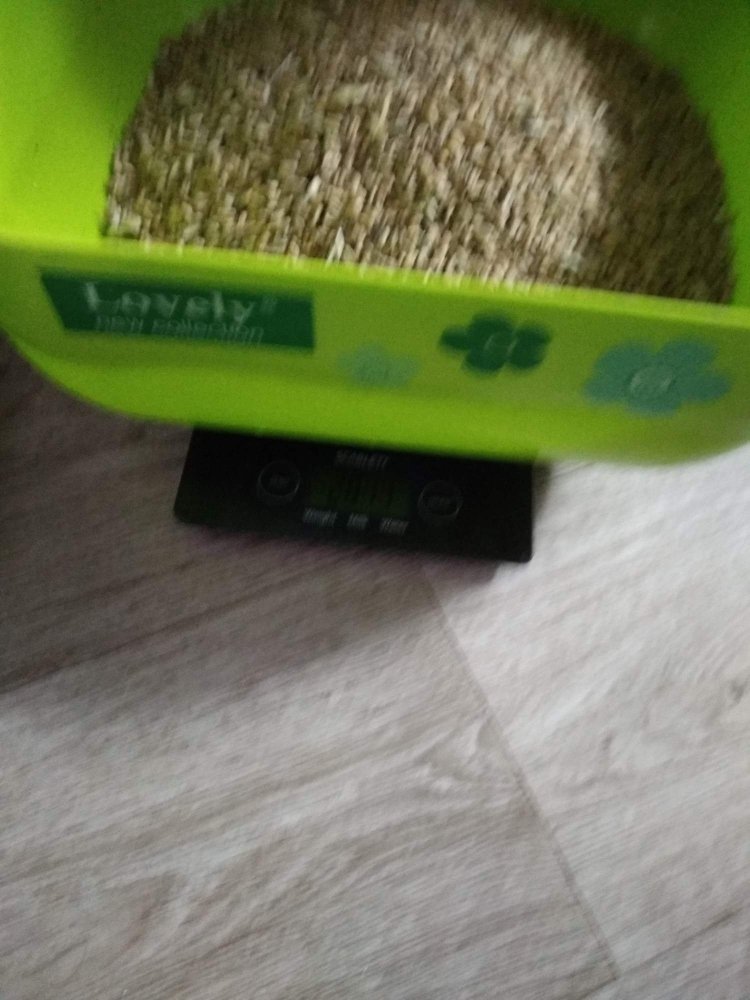 Вешаем1.jpg