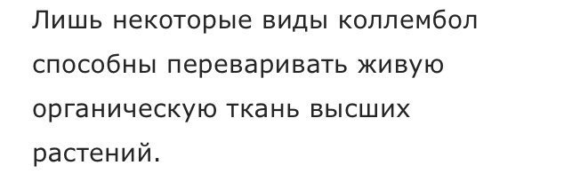 6EE5C3C5-851A-4C9E-B697-C6389B973224.thumb.jpeg.011bca4ea9aa99dbb79c4070d7324b37.jpeg
