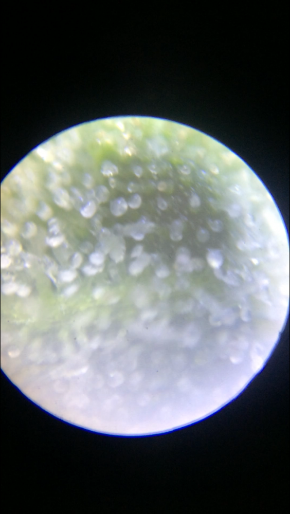 D5E0DF61-88EF-43C4-949F-8BD24921465A.thumb.png.22f4006f900d19a0855e847fc97c2218.png