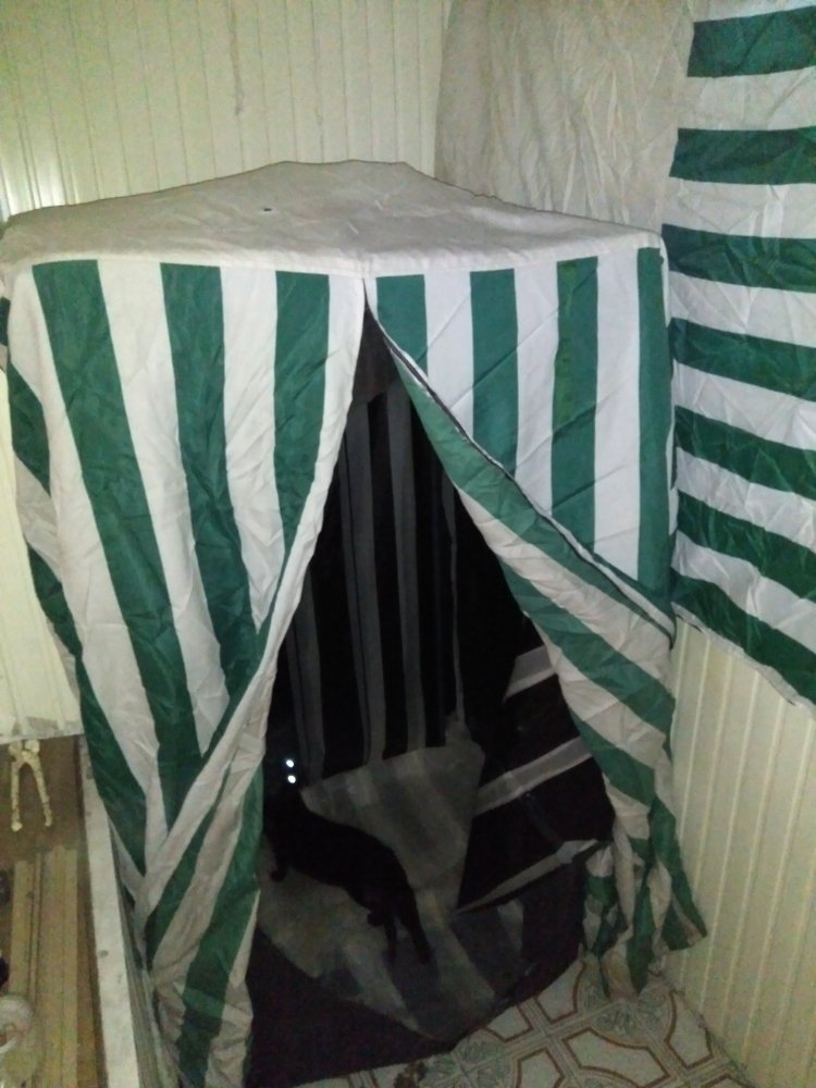 IMG_20190428_201215.jpg