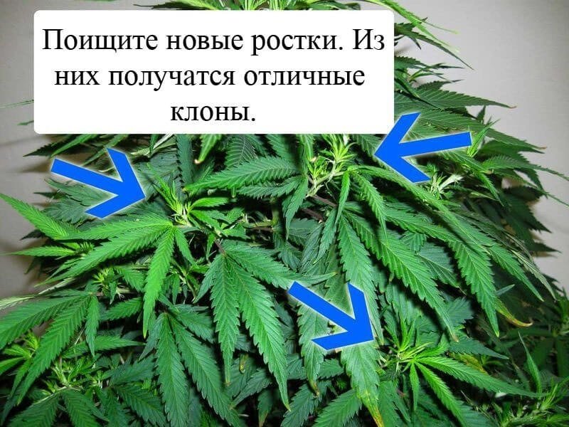 04.jpg