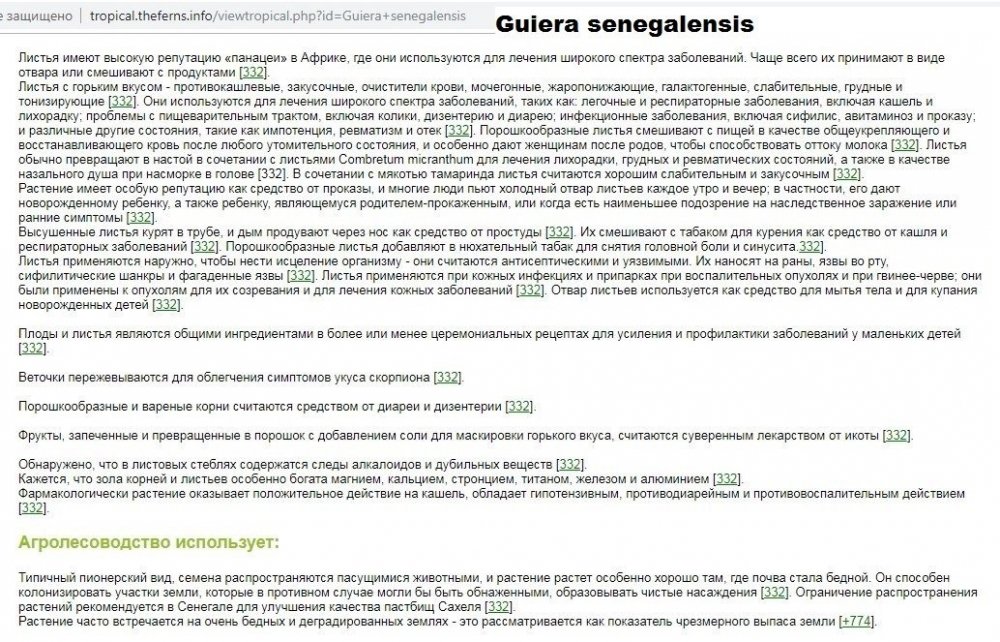 1337575439_Guierasenegalensis.thumb.jpg.e1919b3ef2452b1f16b5c6890351dcf4.jpg