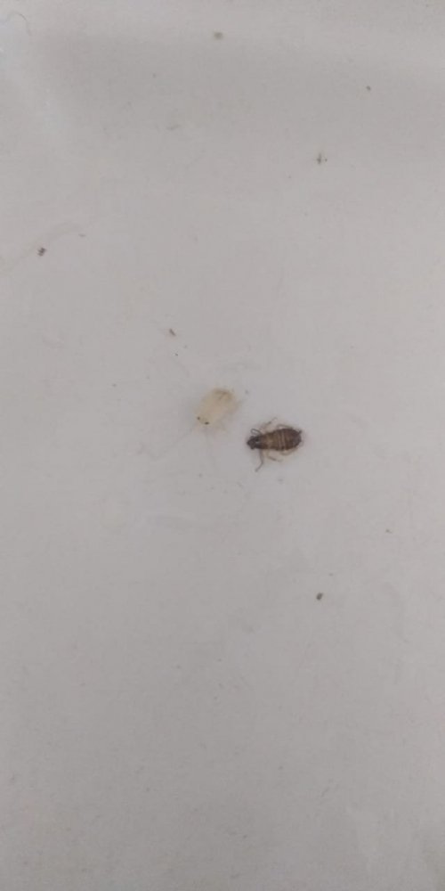 SAVE_20190522_210547[1].jpeg