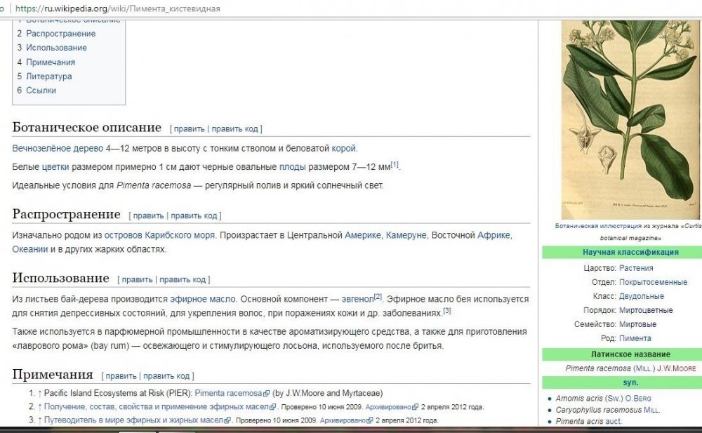 1814824160_Pimentaracemosa.thumb.jpg.ac5b164b6889385e3fa3823d8174c8ba.jpg