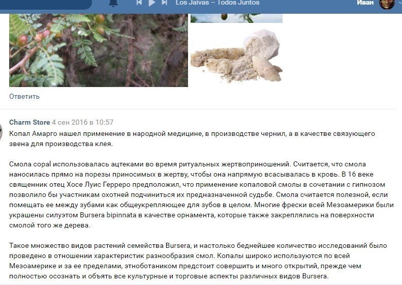2017947255_Burserabipinnata3.thumb.jpg.8ab3a736a21e2c737ee747bebd78e927.jpg