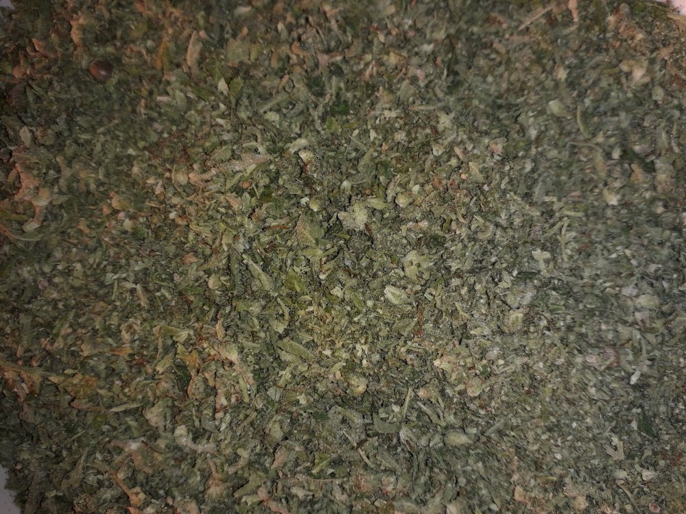 20190502_133415.jpg