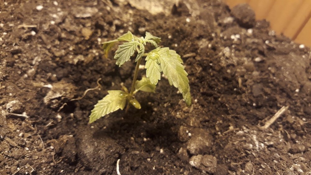 20190504_102938.jpg