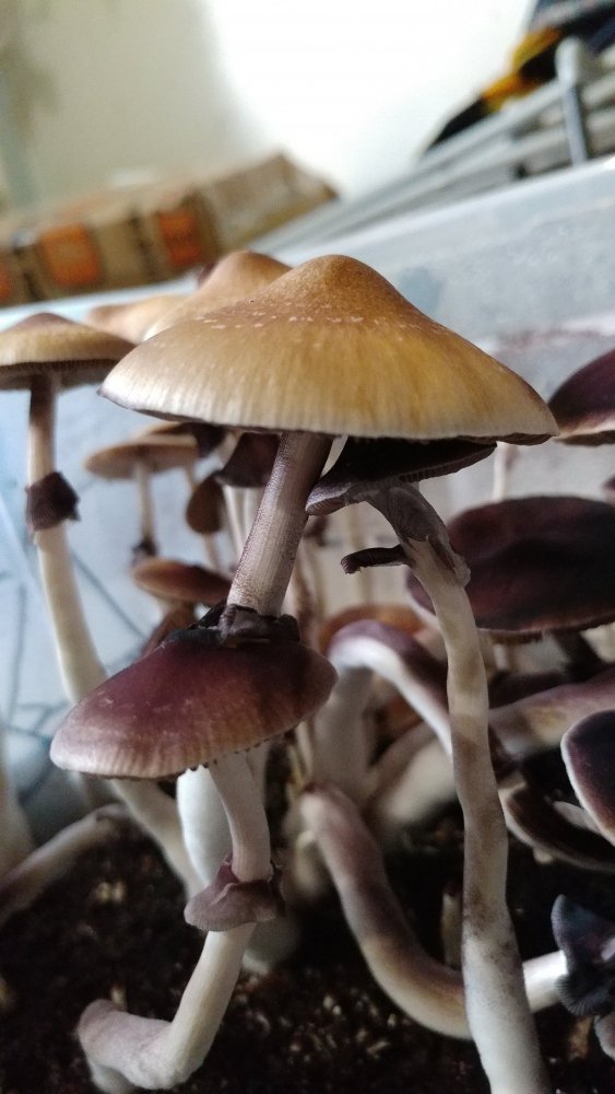 20190514_062021.jpg