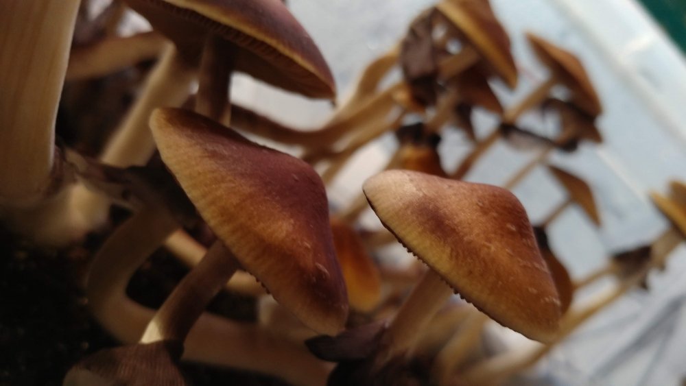 20190514_062140.jpg