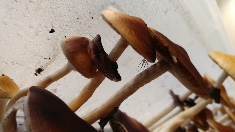 20190514_062210.jpg
