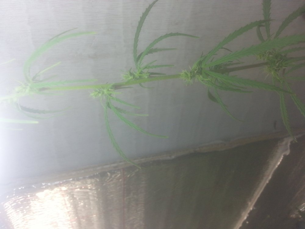 20190520_225340.jpg