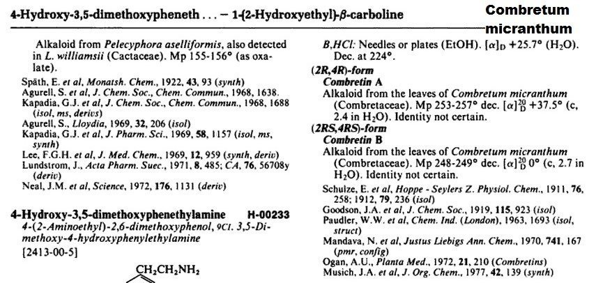 2143907800_Combretummicranthum(3).thumb.jpg.773fab9d627a82756ebfc9fe9a783185.jpg