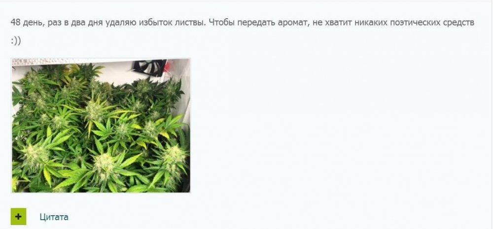 275066087_2.thumb.JPG.74ebd10228cb11d2de9e3ea7dc23ae11.JPG