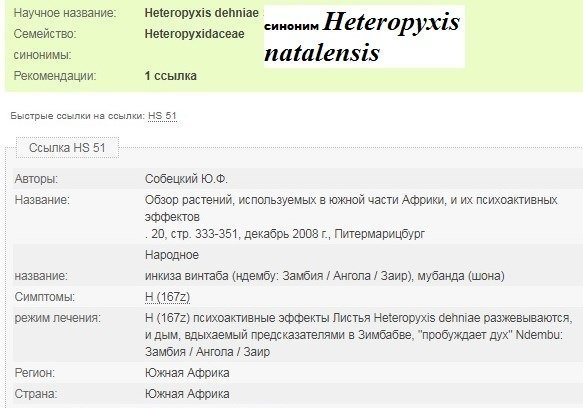 392606716_HeteropyxisdehniaeH.natalensis.thumb.jpg.5355b198866e6b377ab5b65f76568197.jpg