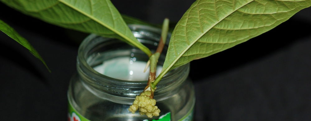 4.thumb.JPG.a62515cac5125fb0f77dc827851889e9.JPG