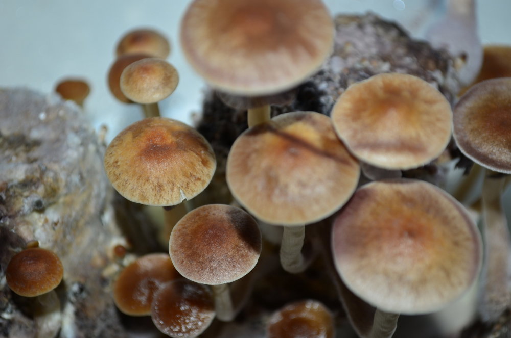 DSC_6194.JPG
