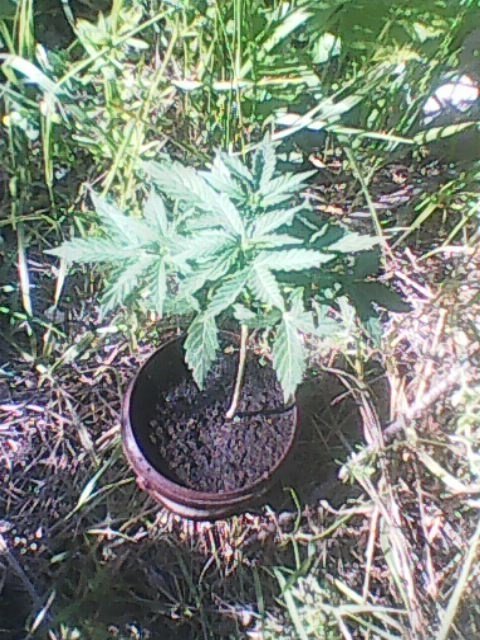 Photo0003.jpg