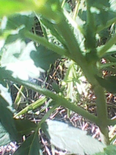 Photo0005.jpg