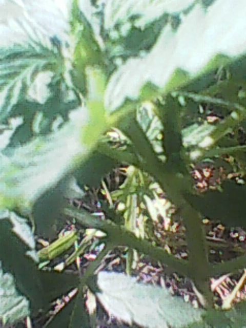 Photo0006.jpg