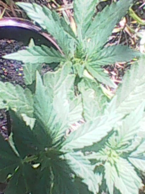 Photo0007.jpg