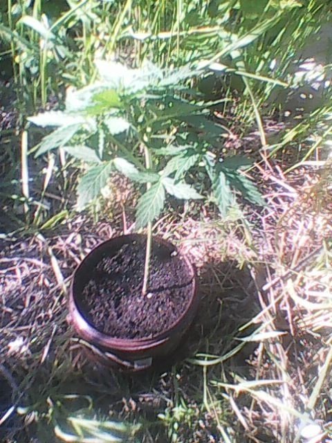 Photo0008.jpg