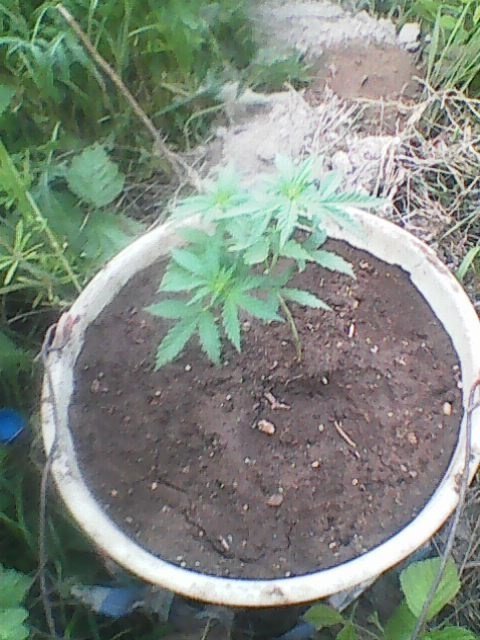 Photo0012.jpg