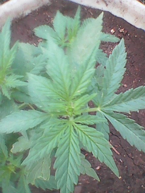 Photo0013.jpg