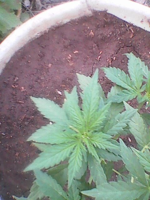 Photo0014.jpg
