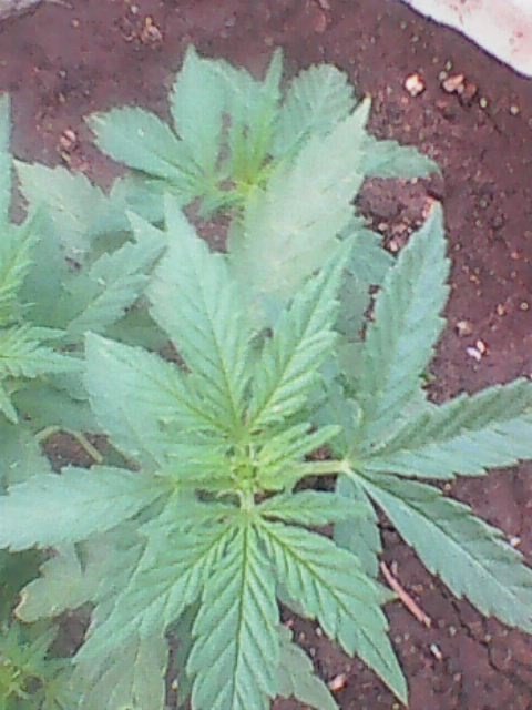 Photo0015.jpg