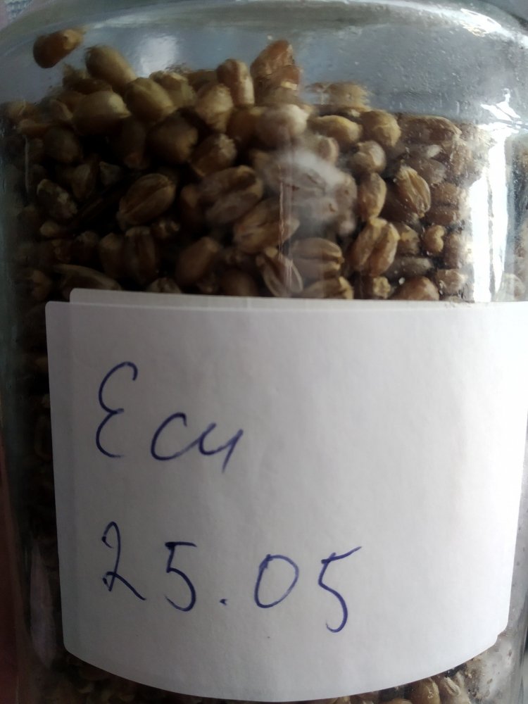ecu1.thumb.jpg.d53c85b6a4a601a0f26a72cbb9a5e931.jpg