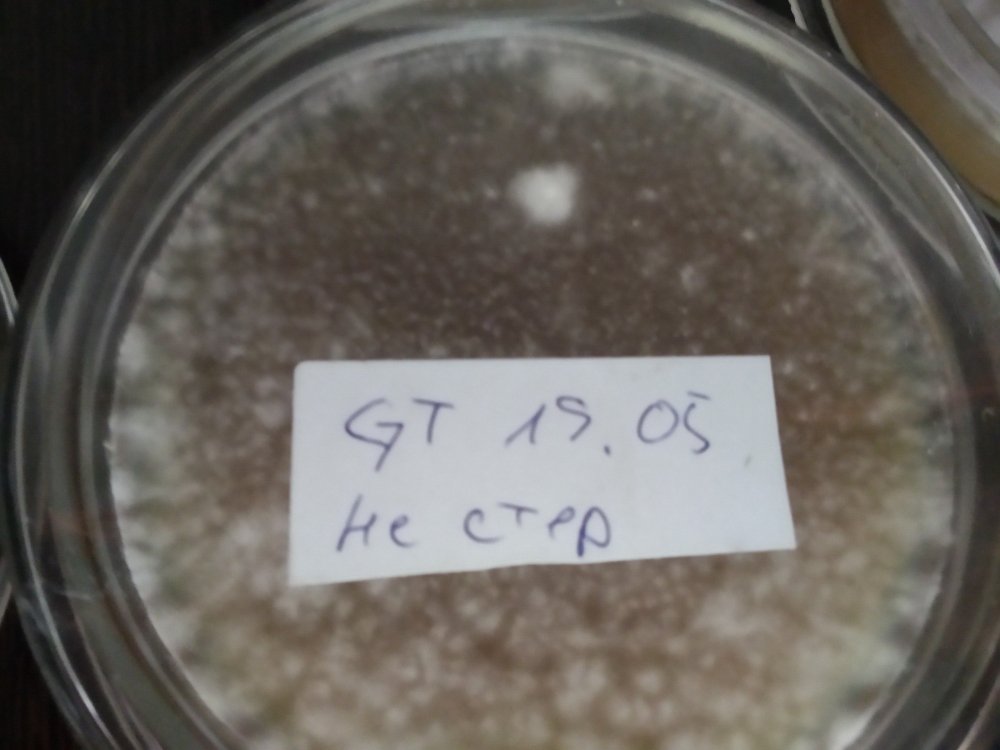 gt_sp_ag11.thumb.jpg.9b14b1b6c0ebdaf3b65e479df70997a0.jpg