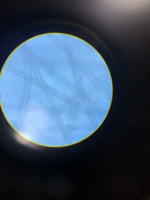 0_IMG-20190628-WA0004.thumb.jpg.beeefc4d9c34d340c8c4393b0f5811b0.jpg