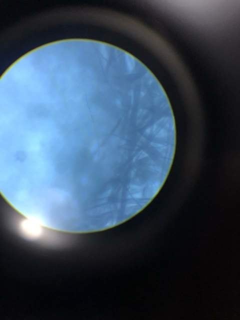 0_IMG-20190628-WA0005.jpg