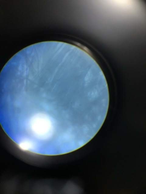 0_IMG-20190628-WA0009.jpg