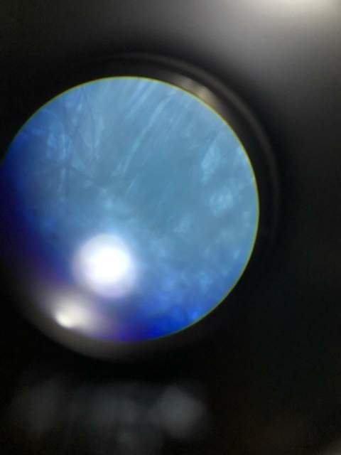 0_IMG-20190628-WA0010.thumb.jpg.3d4d8afe8895f1d994ff88e23943da04.jpg