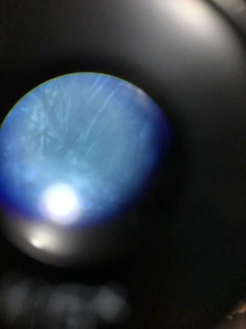 0_IMG-20190628-WA0011.thumb.jpg.8a6db2a2f33b8bd9a50eb3e2581aa66b.jpg