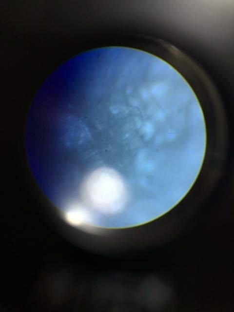 0_IMG-20190628-WA0013.thumb.jpg.326c06c9025a8232bfcdd3b6aa9ebd2b.jpg